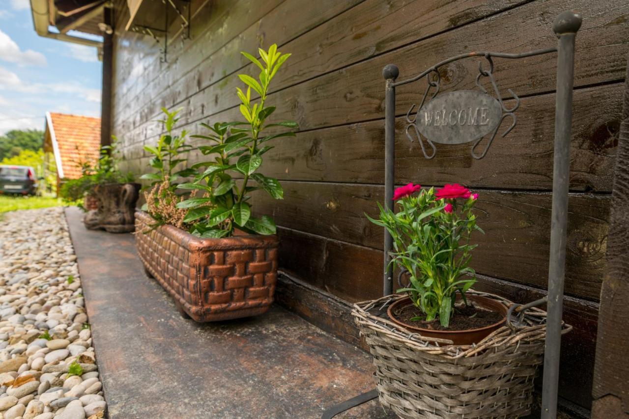 Hygge Hill Villa Krapinske Toplice Dış mekan fotoğraf