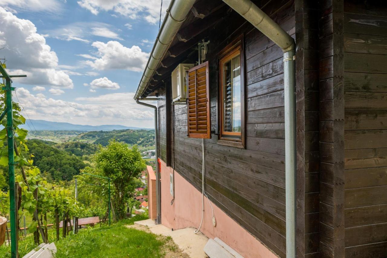 Hygge Hill Villa Krapinske Toplice Dış mekan fotoğraf